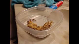 Does not care for bath time and Echo first time bath