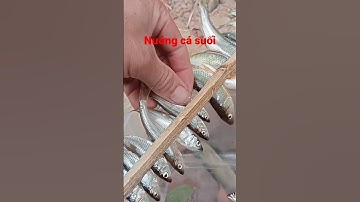 nướng cá Suối