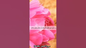 سورة الحجر هزاع البلوشي #المصحف #قرآن #اكسبلور #هزاع_البلوشي #سورة_الحجر