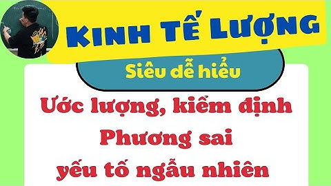 [ Kinh Tế Lượng ] Ước lượng, kiểm định phương sai yếu tố ngẫu nhiên (siêu dễ hiểu) ♥️ Quang Trung TV