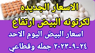 سعر البيض اسعار البيض اليوم الاحد ٢٤-٩-٢٠٢٣ جمله وقطاعي فى مصر