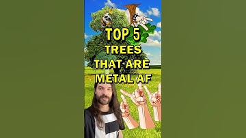 Top 5 Metal TREES
