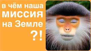 Если вы сделаете это, то сможете вести за собой других! Если вы сделаете это, то сможете вести за собой других!