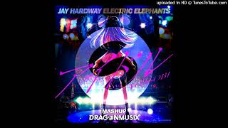 Jay Hardway - Electric Elephants  Vs, Idol - YOASOBI (Mashup DragonMusix)