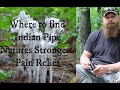 Indian Pipe - Where to find it, what it looks like, how to use it and how it tastes