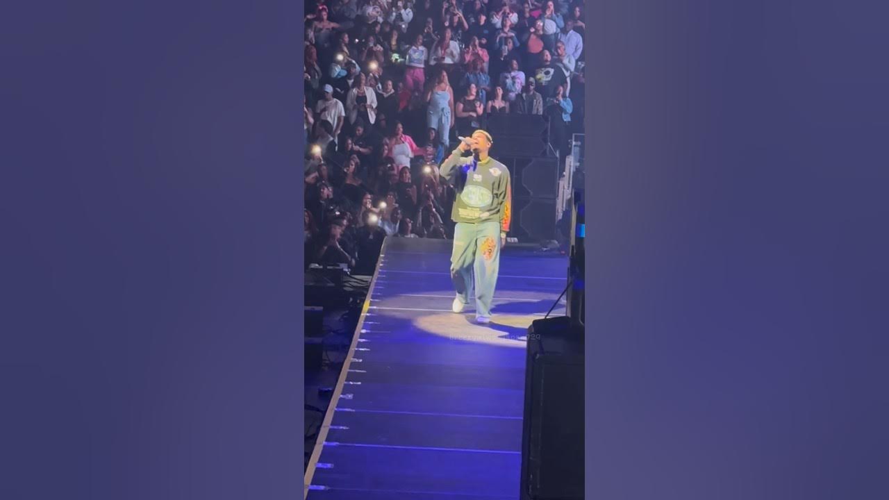 Chris Brown performs Mutt remix at the Tycoon Festival #ChrisBrown #Mutt #Detroit Chris Brown performs Mutt remix at the Tycoon Festival #ChrisBrown #Mutt #Detroit