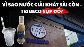 Su that dau long Vi sao Tribeco - niem tu hao Viet