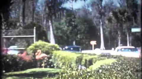 George McCall Home Movie Collection