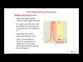 Action Potentials (Part 2 of 2)