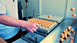 Japanease pancake balls "baby castella" was made very fast