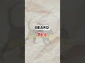 Entendiste broo…?