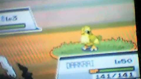 Random  Encounter - Shiny Pidgey -
