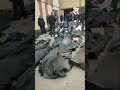 Iran in Turmoil Deadly Protests, Global Reactions & World Leaders Speak Out