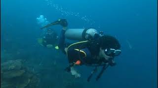 Low Visibility Scuba Dive