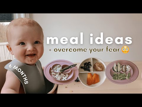 How to Start Baby Led Weaning at 6 Months | BLW Meals + 6 Month Baby Update