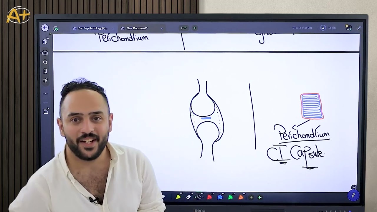 Cartilage introduction (103) طب القاهره الاهليه 