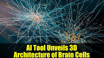 AI Tool Unveils 3D Architecture of Brain Cells