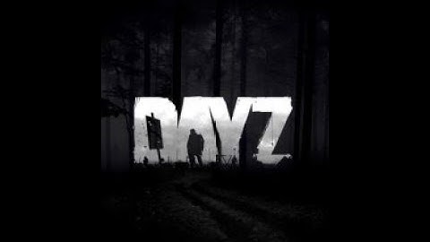 DayZ VPP Admin Tools.