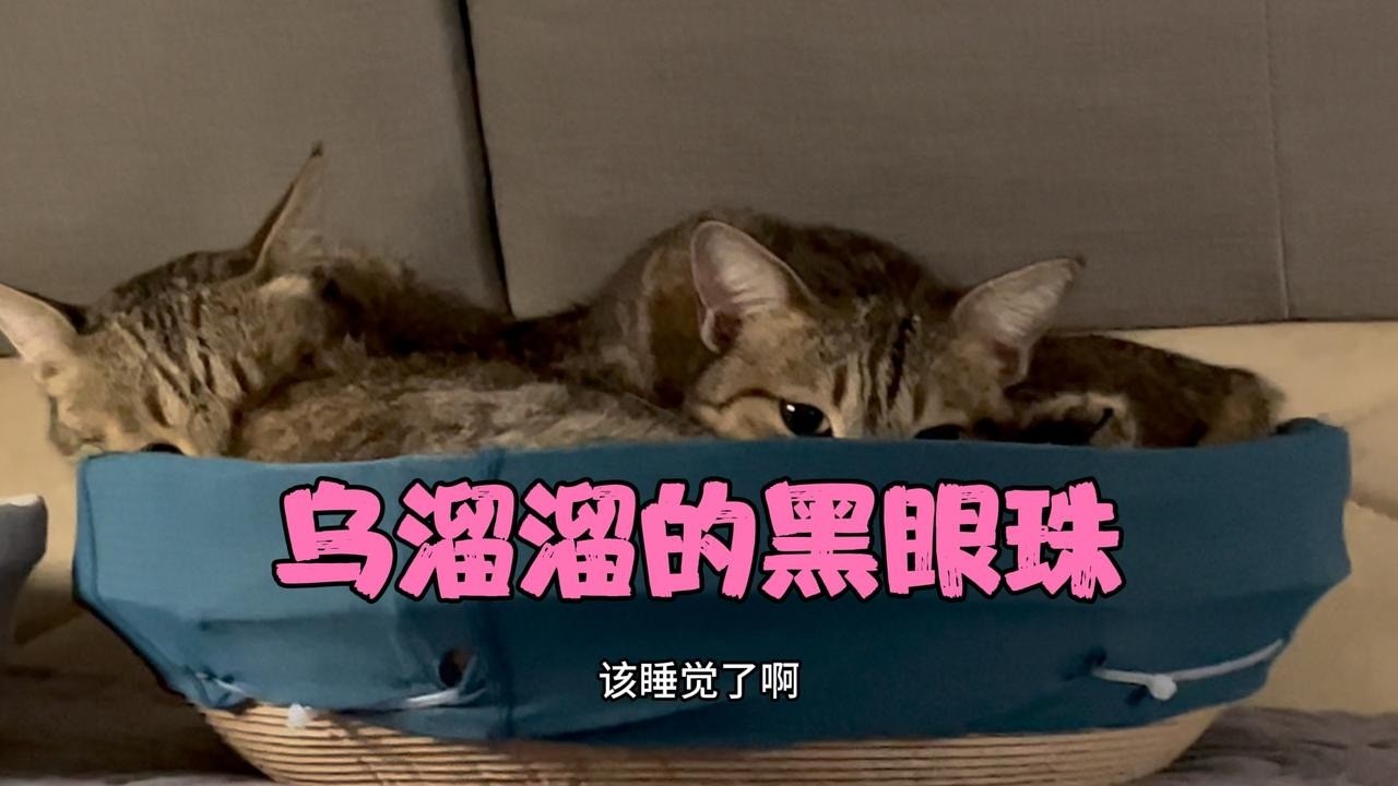 海南岛越来越热准备出岛避暑，带大家看在一眼清澜半岛的日出