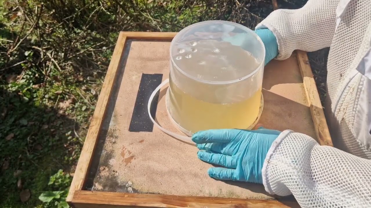 04.03.2026 - Молниеносное развитие после разворота. Часть 1