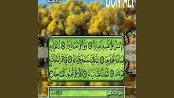 عامر الكاظمي سورة القيامة