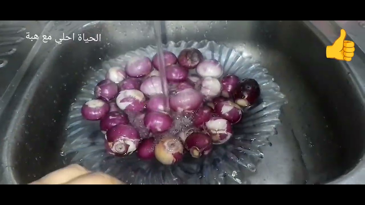 # احلى واجمل بصل حادق👍👍