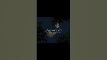 سورة النمل - الآيات 29-31 - تلاوة إسلام صبحي