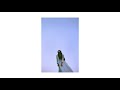 Ichiko Aoba - アダンの島の誕生祭 (Choe ver.)