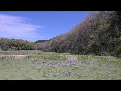 組歌曲「旅のソネット」4.げんげ田の道を ／ 倉藤理大