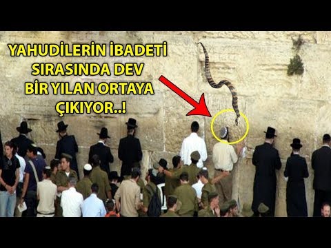 Video: Hangi Müslüman Bayramları Var