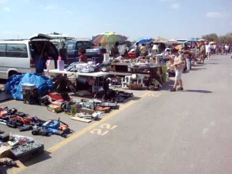 la pulga de palmview tx youtube