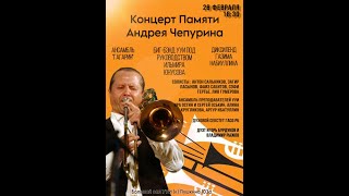 Концерт памяти Андрея Чепурина