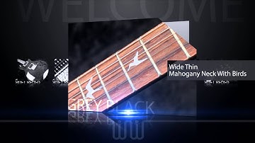 Mark Tremonti  PRS SE Custom with up-routed Trem Grey Black Quick Look
