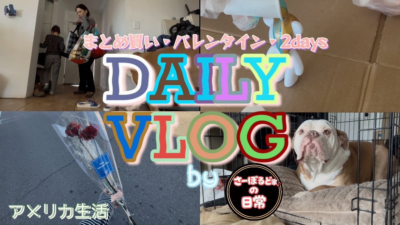 【日常】vlog |2days|まとめ買い|爆買い|購入品紹介|バレンタイン|専業主婦|うちなーんちゅ|アメリカ生活|grocery|household