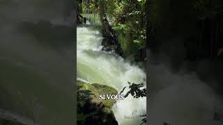 Torrent de la jungle #ASMR #ASMRNature #SonsRelaxants