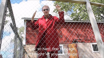 Calc So Hard (AP Calc final project)