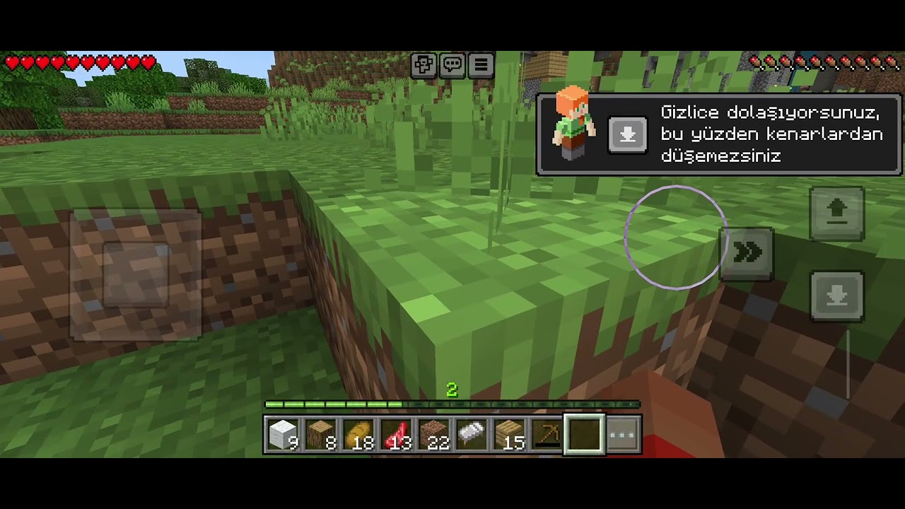 Minecraft oynuyoruz #86