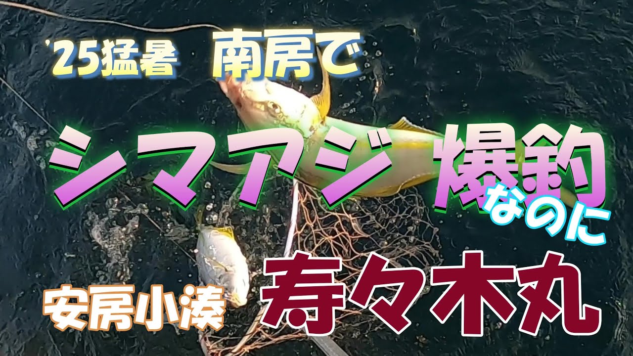 25猛暑 南房のシマアジ釣り 寿々木丸