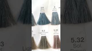 Download Lagu L'OREAL PARIS #Make A wild Fashion Statement THE 1st* TWO-TONE HAIR COLOUR HOME KIT MP3