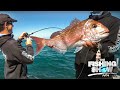 Jigging techniques and what to look for