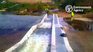 Tyne And Wear Fish Pass