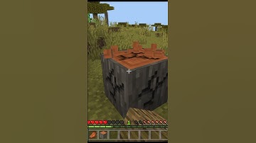 Minecraft, But If You Like This video a New Mob Spawns | #shorts #minecraft