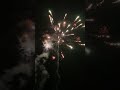 One of the best small fireworks in the market #fireworks #shorts