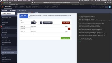 Adding noindex Head Tag to a Page