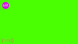 SNT Screenbug (2018-2019)