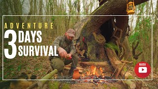 Building a Survival Shelter in the Desolate Forest  Primitive Fire Furnace and Fish Trap