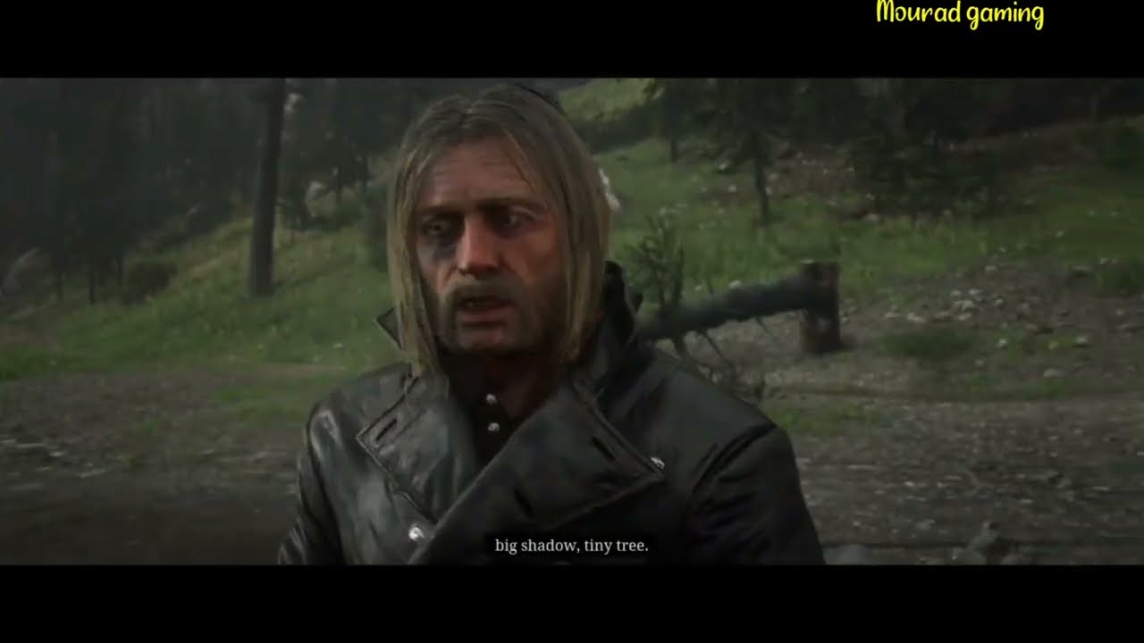 Red Dead Redemption 2 Chapter 2 An American Pastoral Scene mission #21