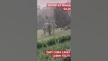 KEJADIAN ANEH VIRAL #Shorts