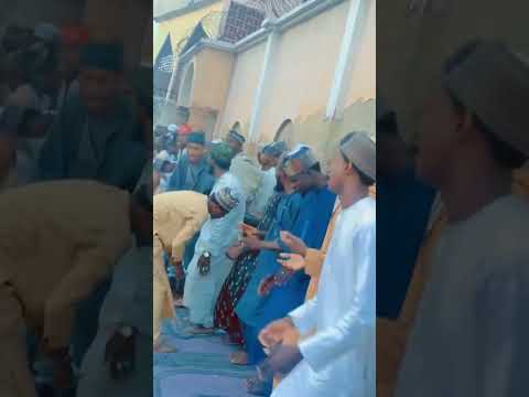 Sirrin Fatahi Ya Habibi