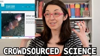 Crowdsourced Science: Bite Sci-zed